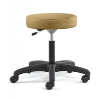 intensa_951_exam_stool