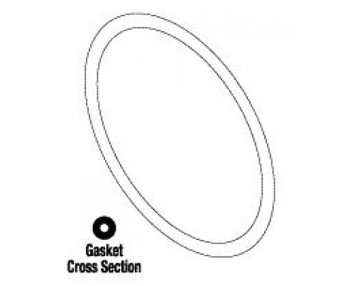 rpi_rcg019_replacement-ritter_m7_autoclave_door_gasket